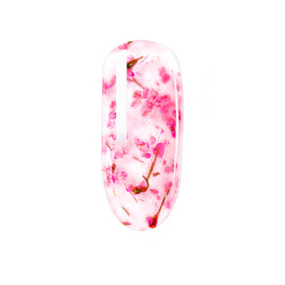 Peony Pop